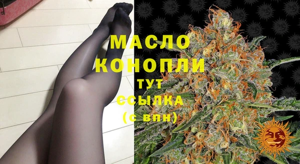 хмурый Инта