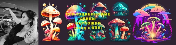 гидропоника Каменск-Шахтинский