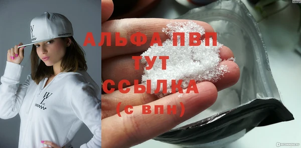 хмурый Инта