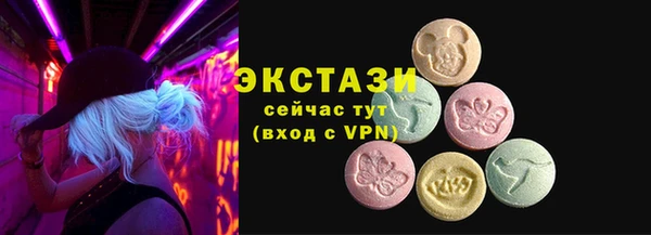 хмурый Инта