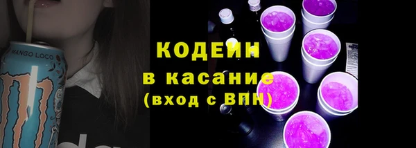 2c-b Каменка