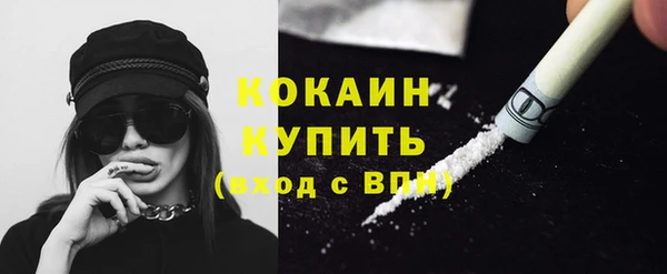 2c-b Каменка