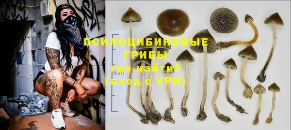 хмурый Инта