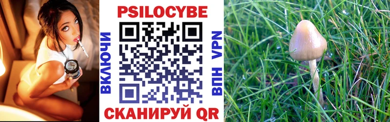 Купить где  Заозёрный  Галлюциногенные грибы прущие грибы 
